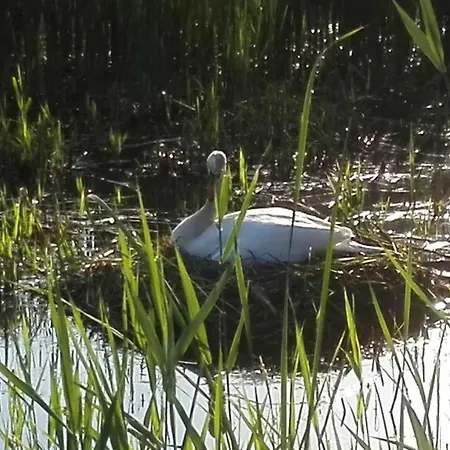 Stor Midt I By. Appartement Sønderborg