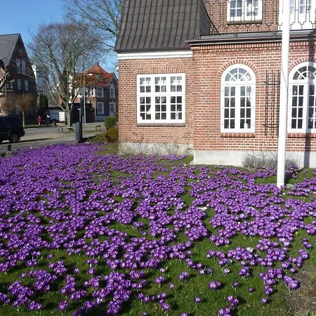 Stor Midt I By. Appartement